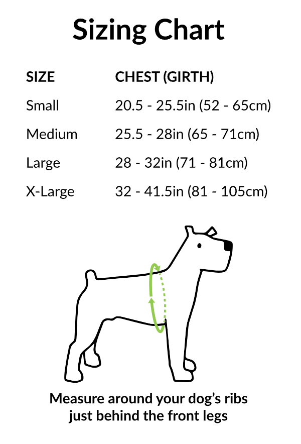 Clickit Terrain Plus