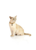 Load image into Gallery viewer, Comfort Suede Breakaway Collar for Cats
