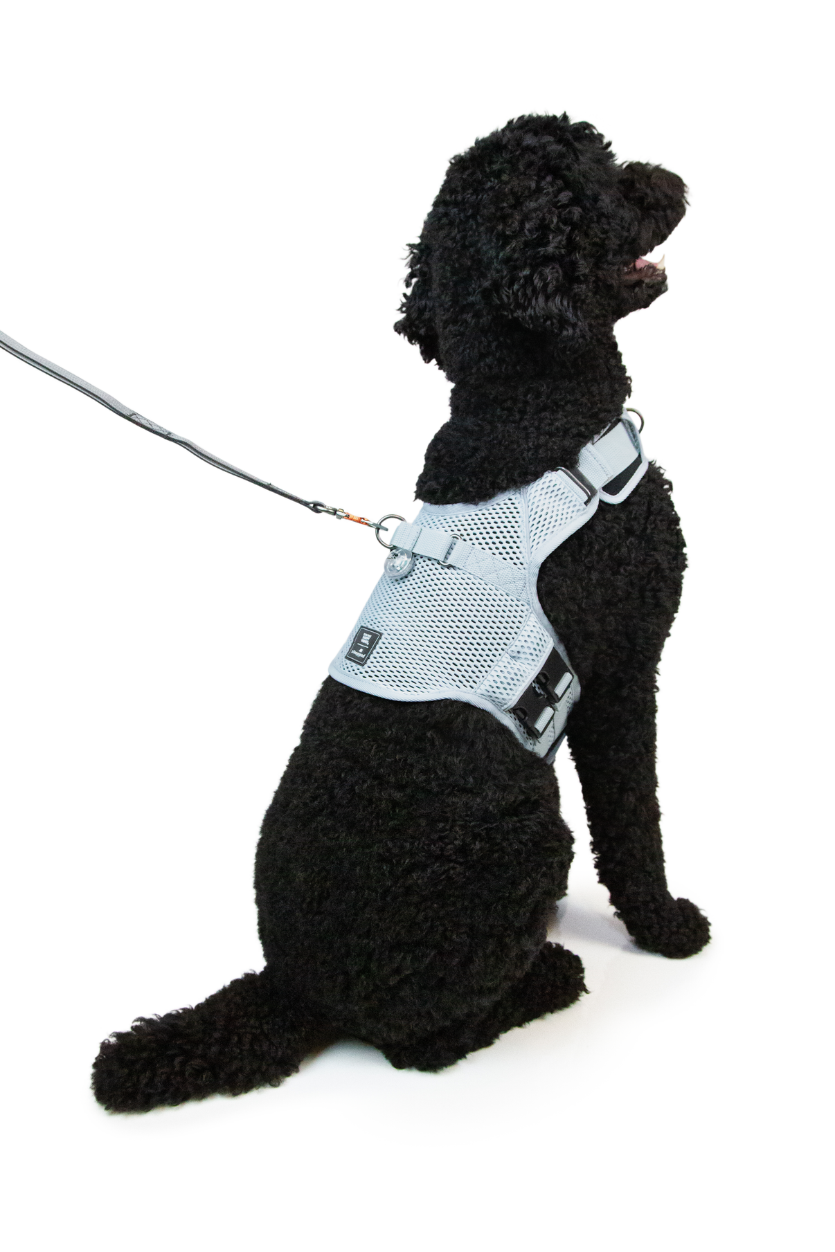 Martingale Harness Plus for dogs Fear Free® Happy Homes edition