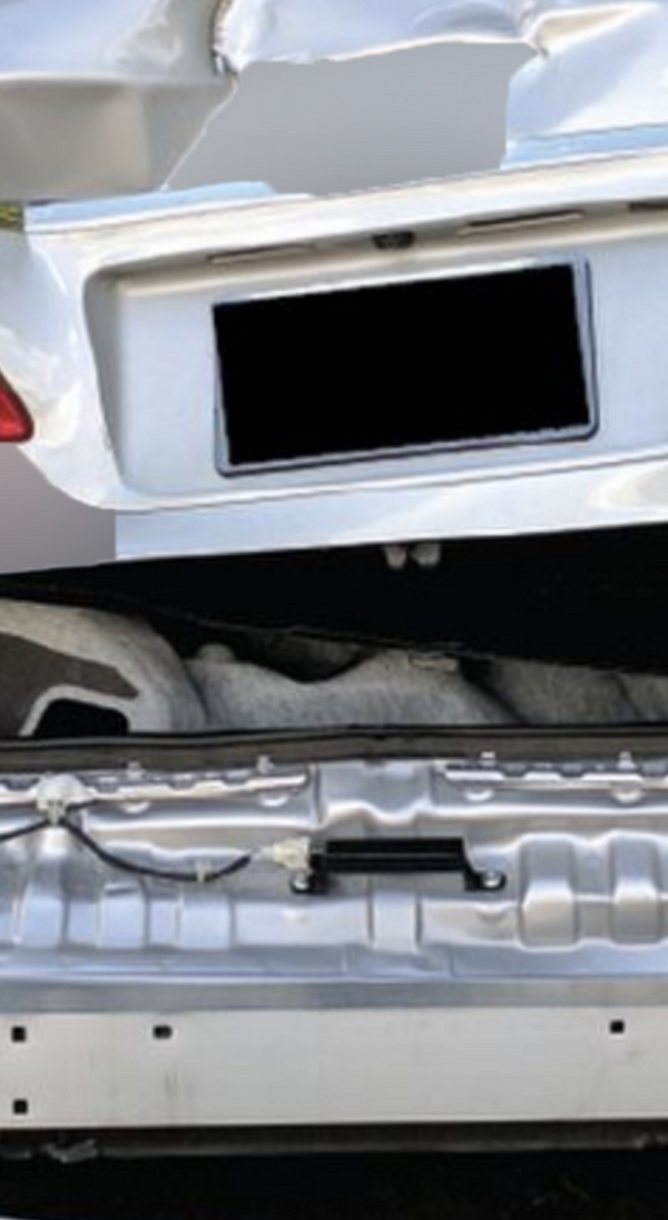 Taisho's owner