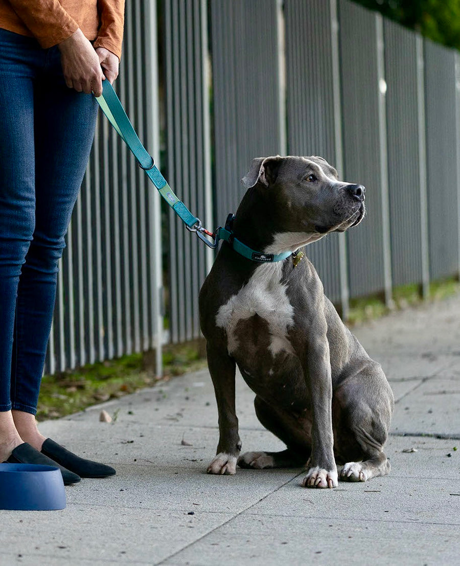 Traffic Leash